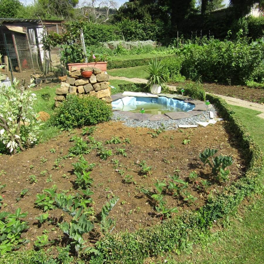 Bed and Breakfast Au Jardin Fessard Fagnon Esterno foto